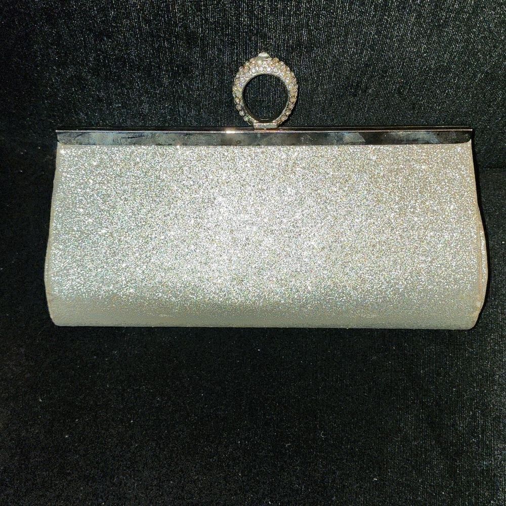 Silver Clutch Purse  